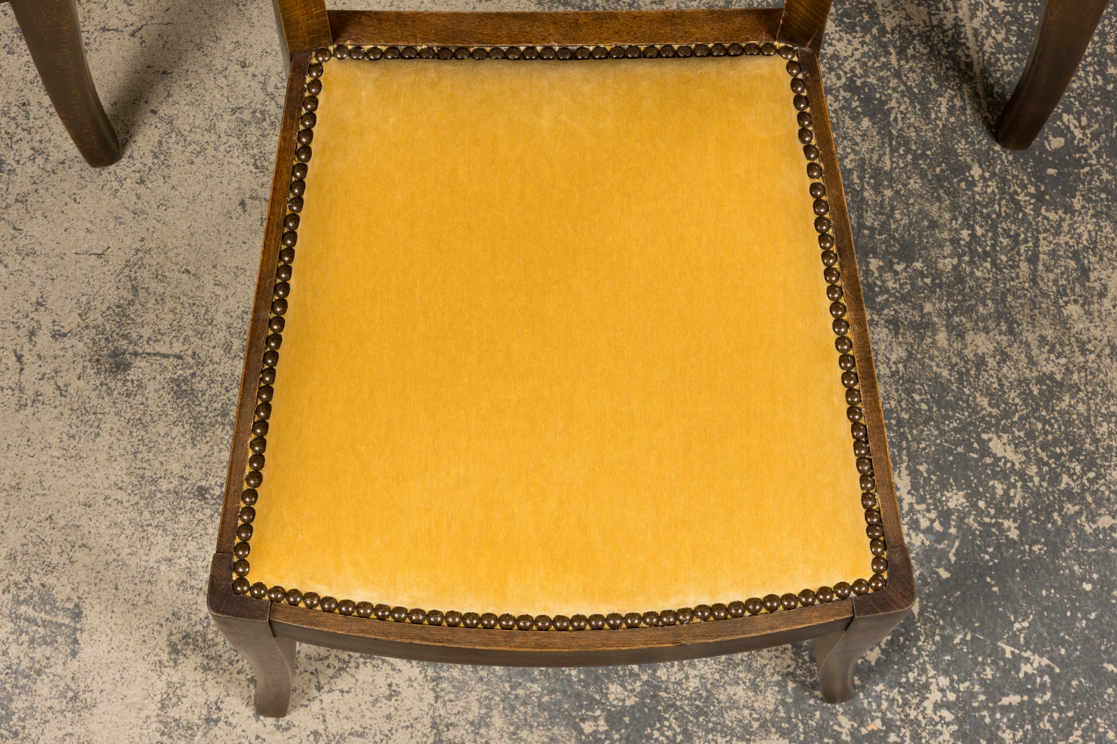 1930s French Art Deco Mustache Back Oak Dining Chairs in Golden Velvet - Set of 6