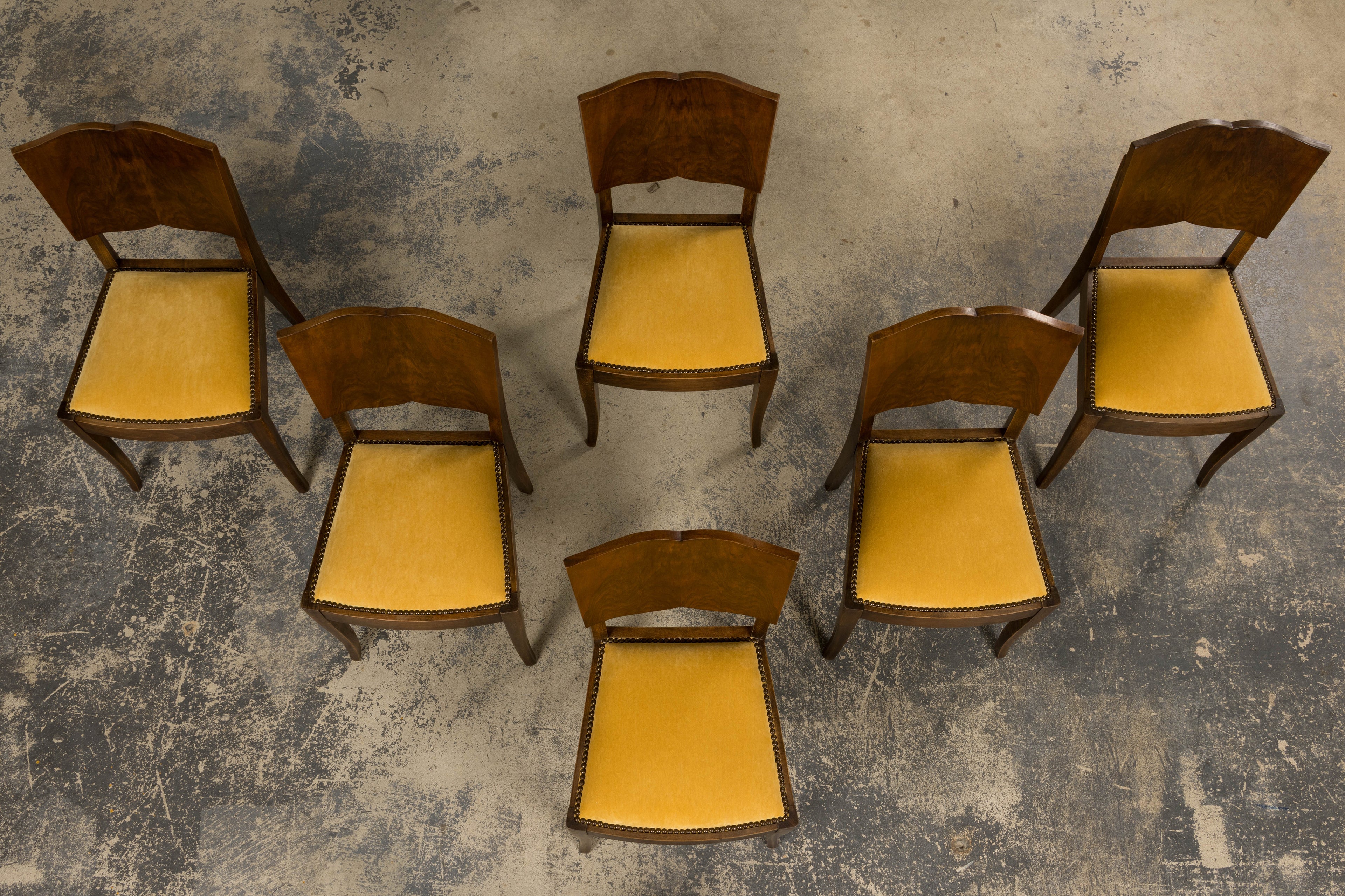1930s French Art Deco Mustache Back Oak Dining Chairs in Golden Velvet - Set of 6