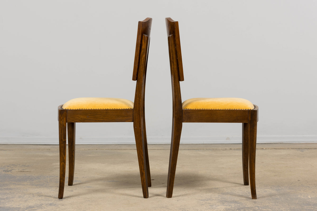 1930s French Art Deco Mustache Back Oak Dining Chairs in Golden Velvet - Set of 6
