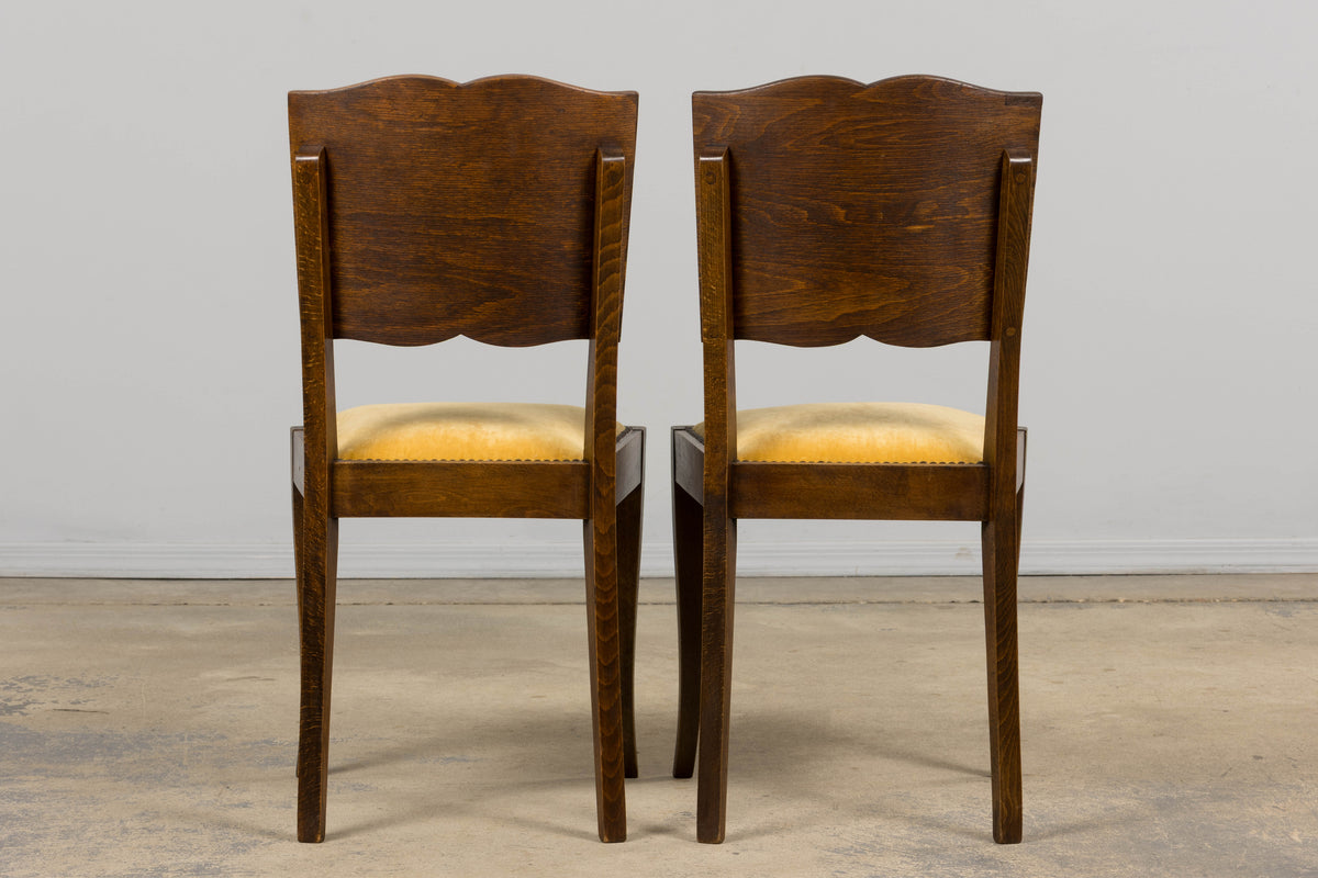 1930s French Art Deco Mustache Back Oak Dining Chairs in Golden Velvet - Set of 6