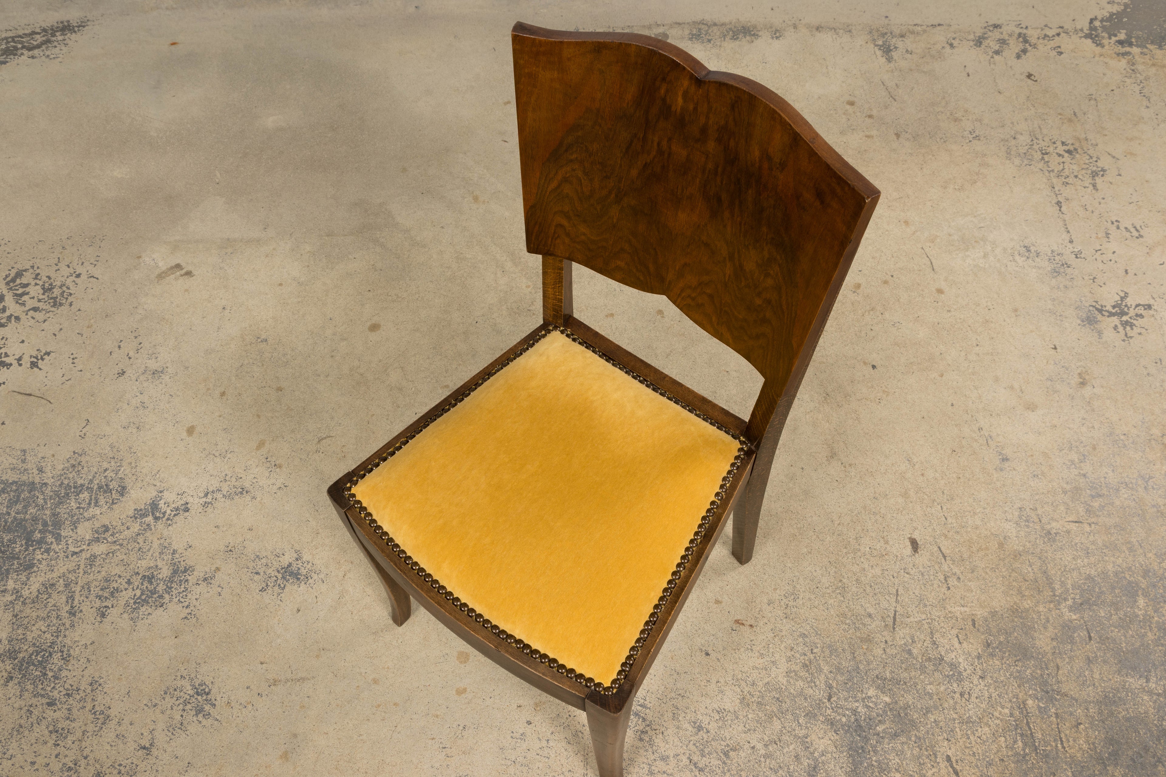 1930s French Art Deco Mustache Back Oak Dining Chairs in Golden Velvet - Set of 6