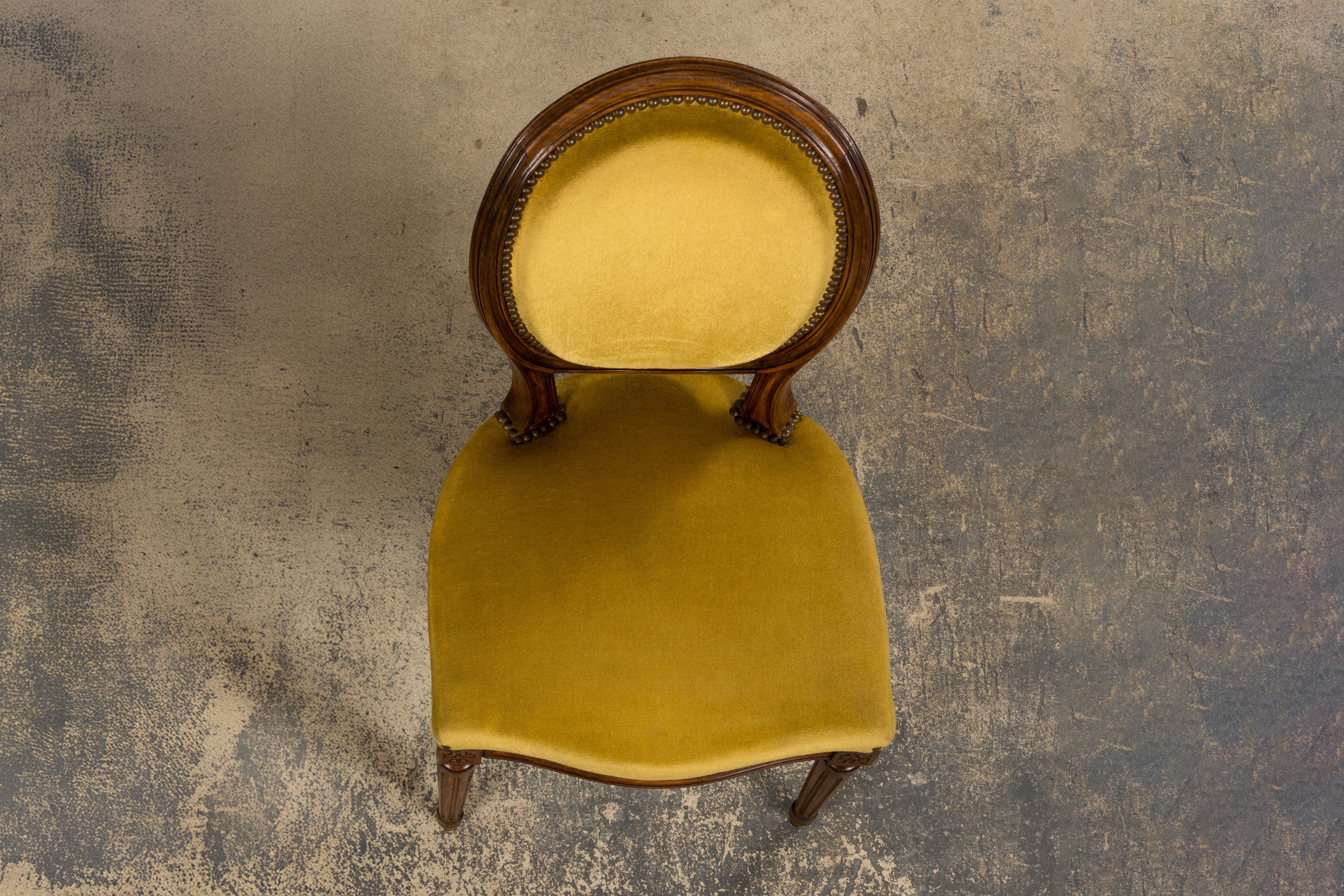 French Louis XVI Style Walnut Side Chair in Golden Yellow Velvet