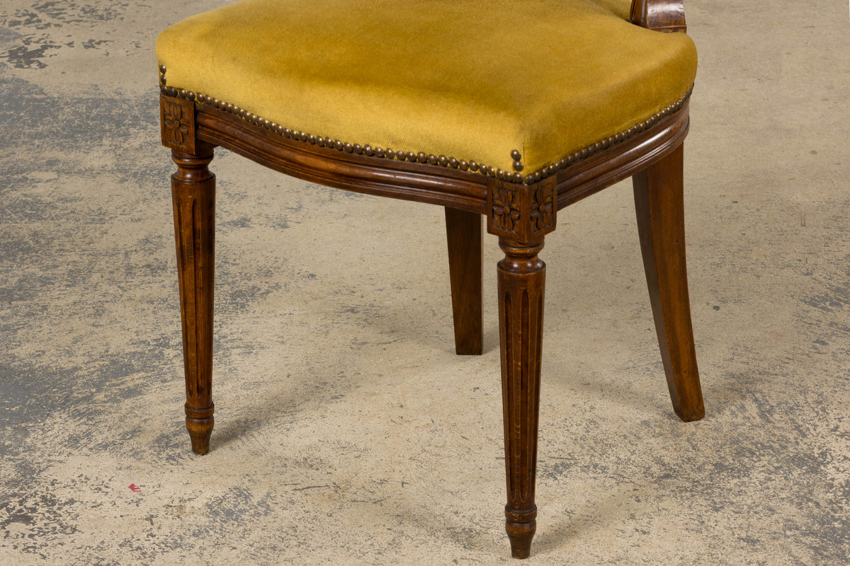 French Louis XVI Style Walnut Side Chair in Golden Yellow Velvet