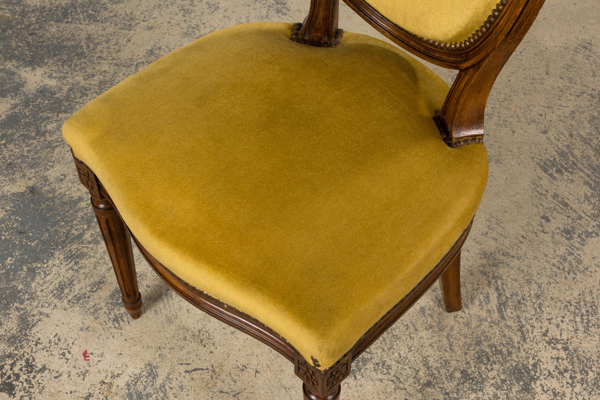 French Louis XVI Style Walnut Side Chair in Golden Yellow Velvet