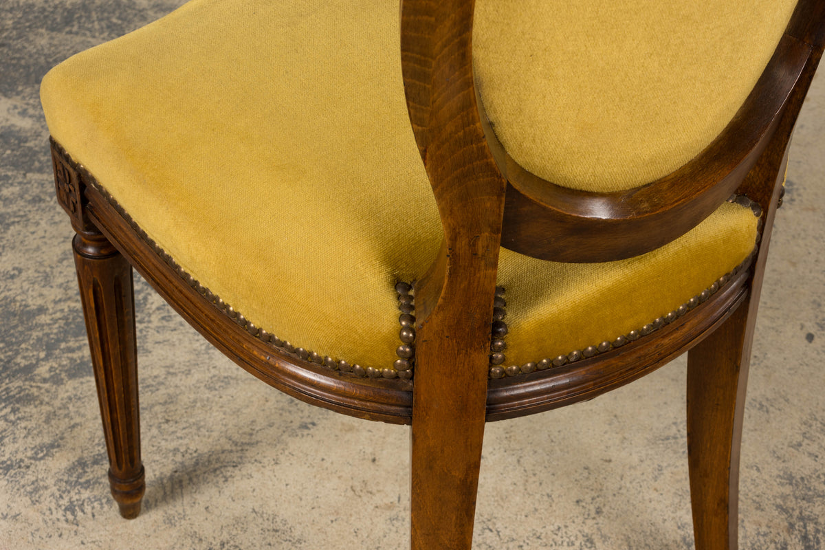 French Louis XVI Style Walnut Side Chair in Golden Yellow Velvet