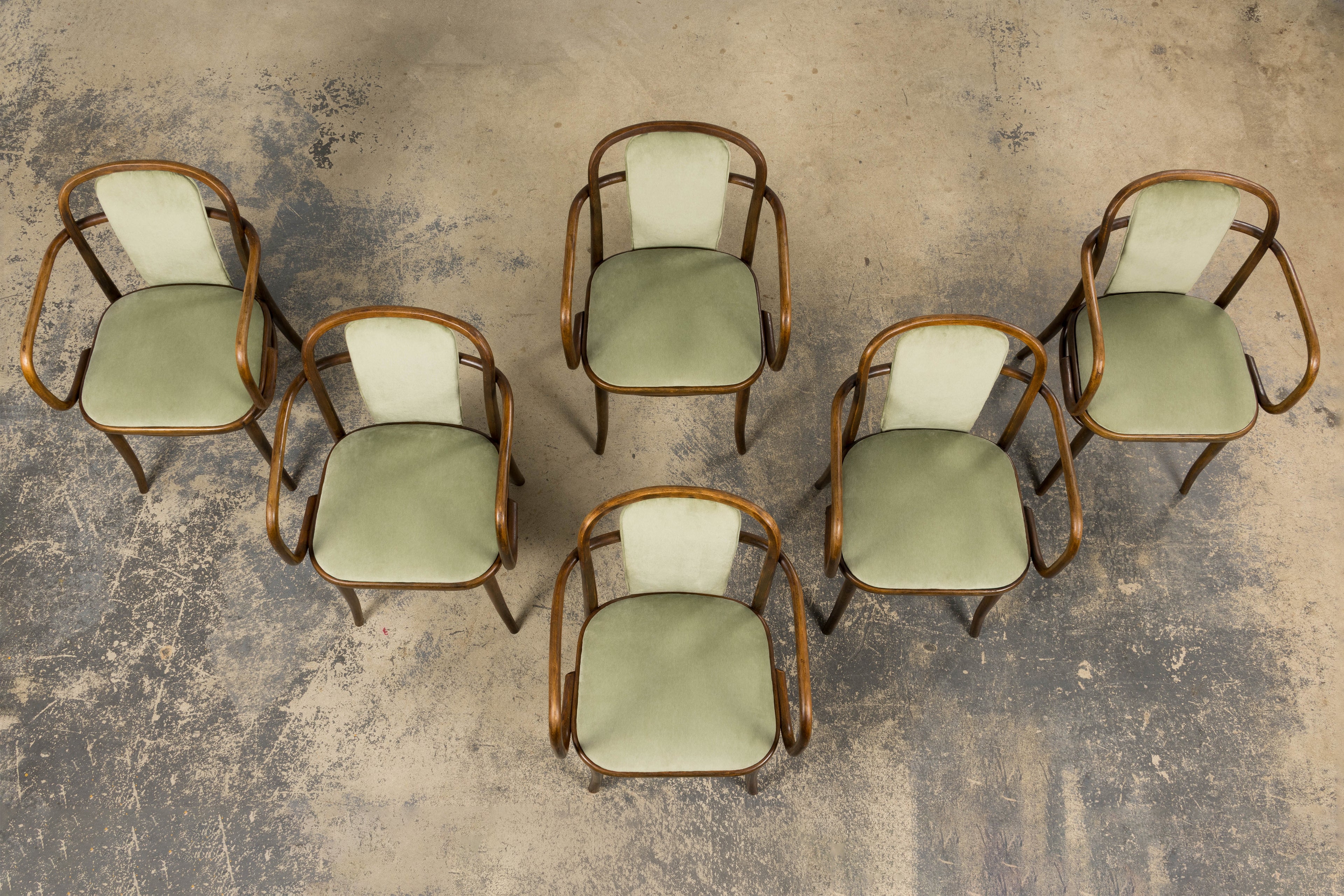 1950s Thonet Bentwood Armchairs in Willow Green Velvet - Set of 6
