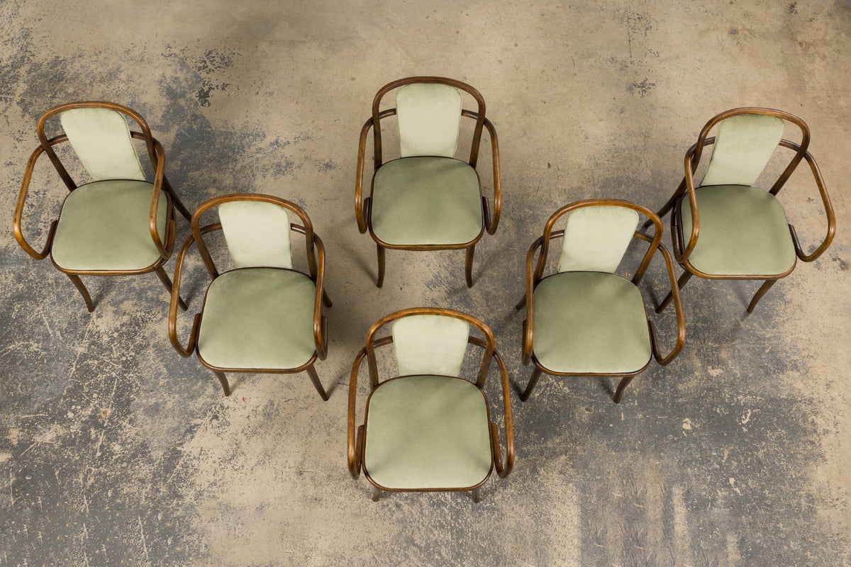 1950s Thonet Bentwood Armchairs in Willow Green Velvet - Set of 6