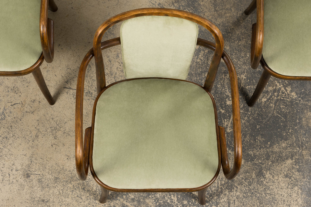 1950s Thonet Bentwood Armchairs in Willow Green Velvet - Set of 6