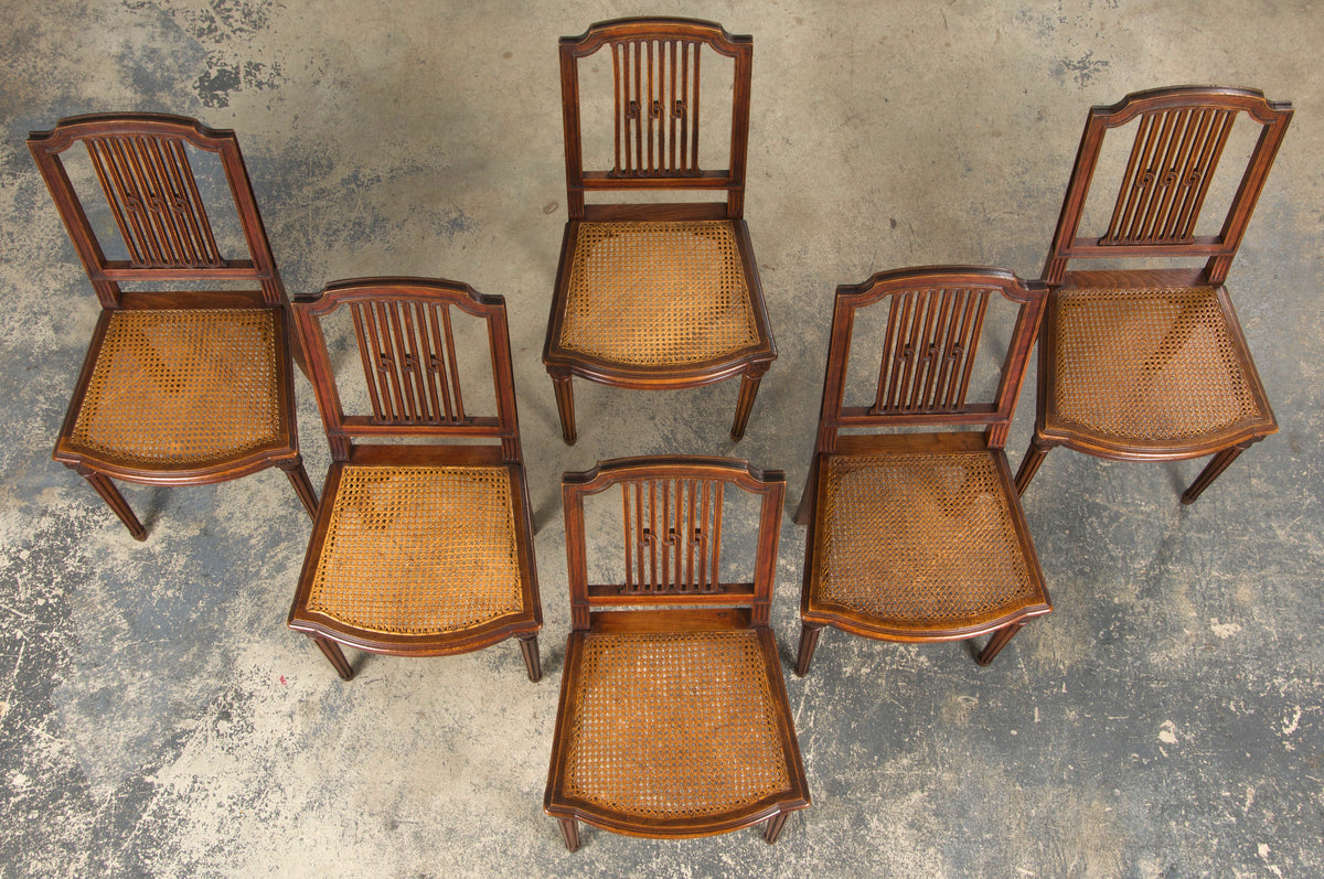 Antique French Louis XVI Style Maple Dining Chairs W/ Cane Seats - Set of 6