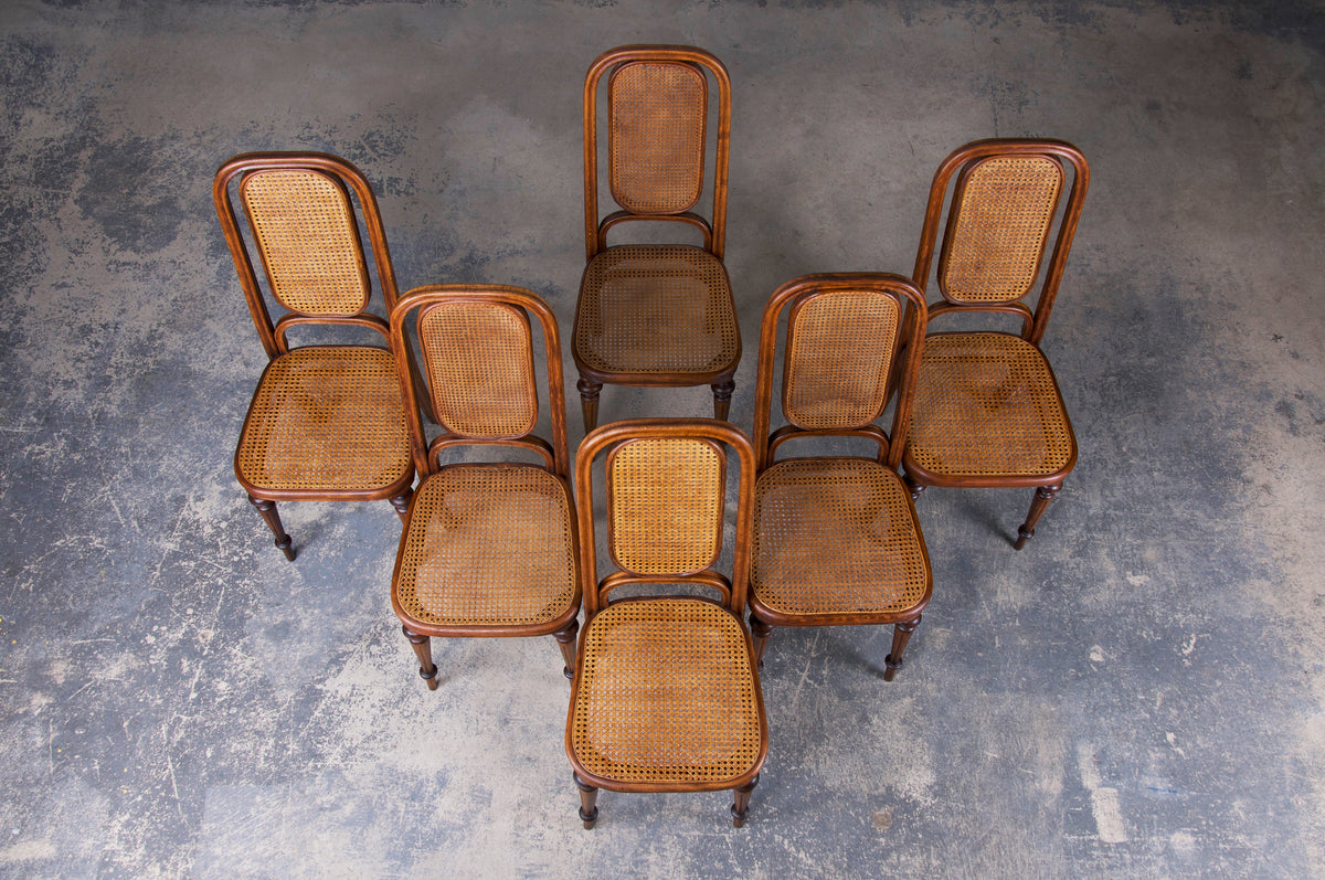Antique Austrian Bentwood Dining Chairs W/ Cane Seats by THONET - Set of 6
