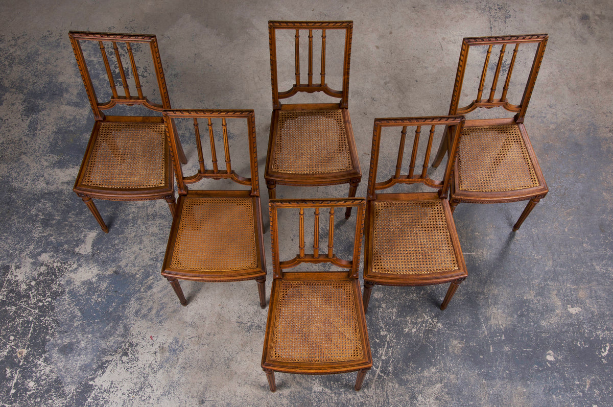 Antique French Louis XVI Style Oak Dining Chairs W/ Cane Seats - Set of 6