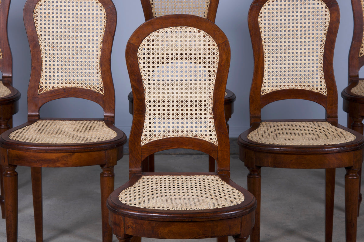 Antique French Louis XVI Style Burl Walnut Cane Dining Chairs - Set of 6