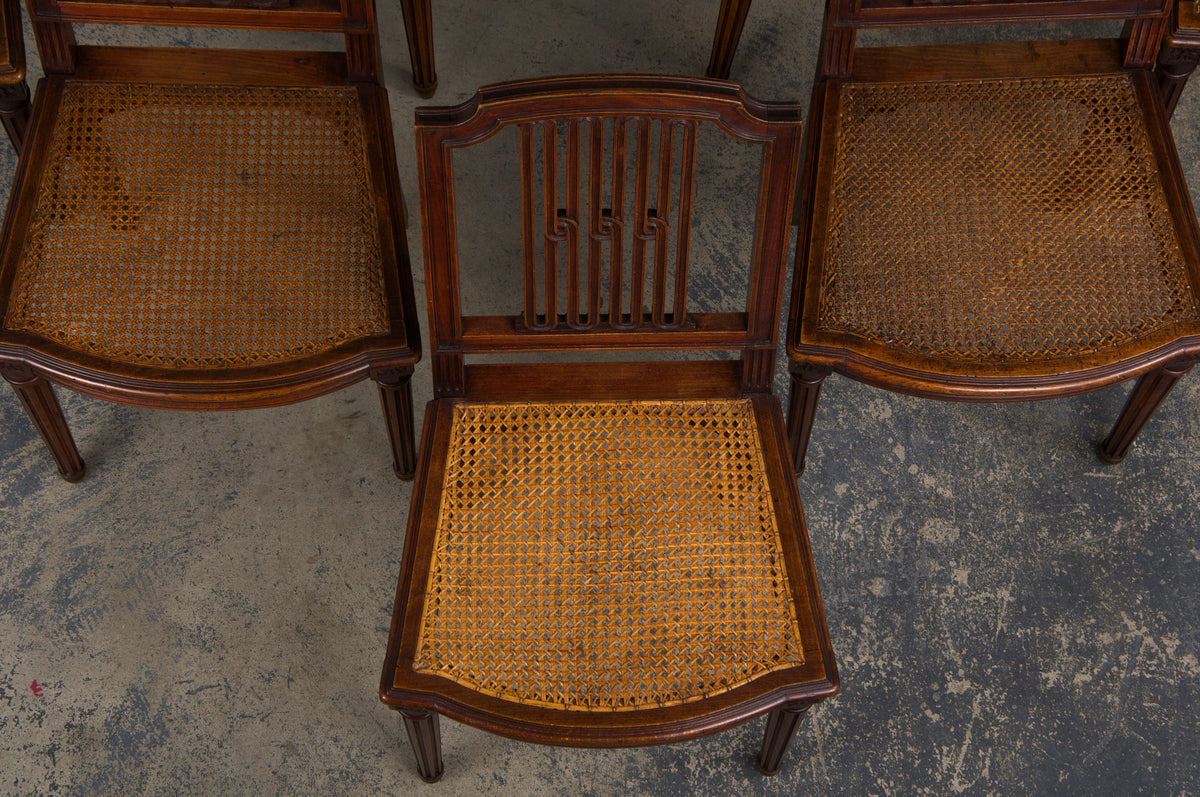 Antique French Louis XVI Style Maple Dining Chairs W/ Cane Seats - Set of 6