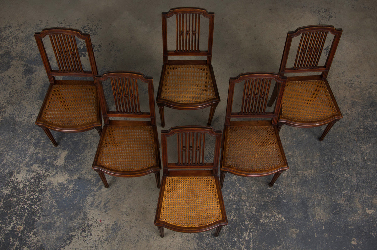 Antique French Louis XVI Style Maple Dining Chairs W/ Cane Seats - Set of 6