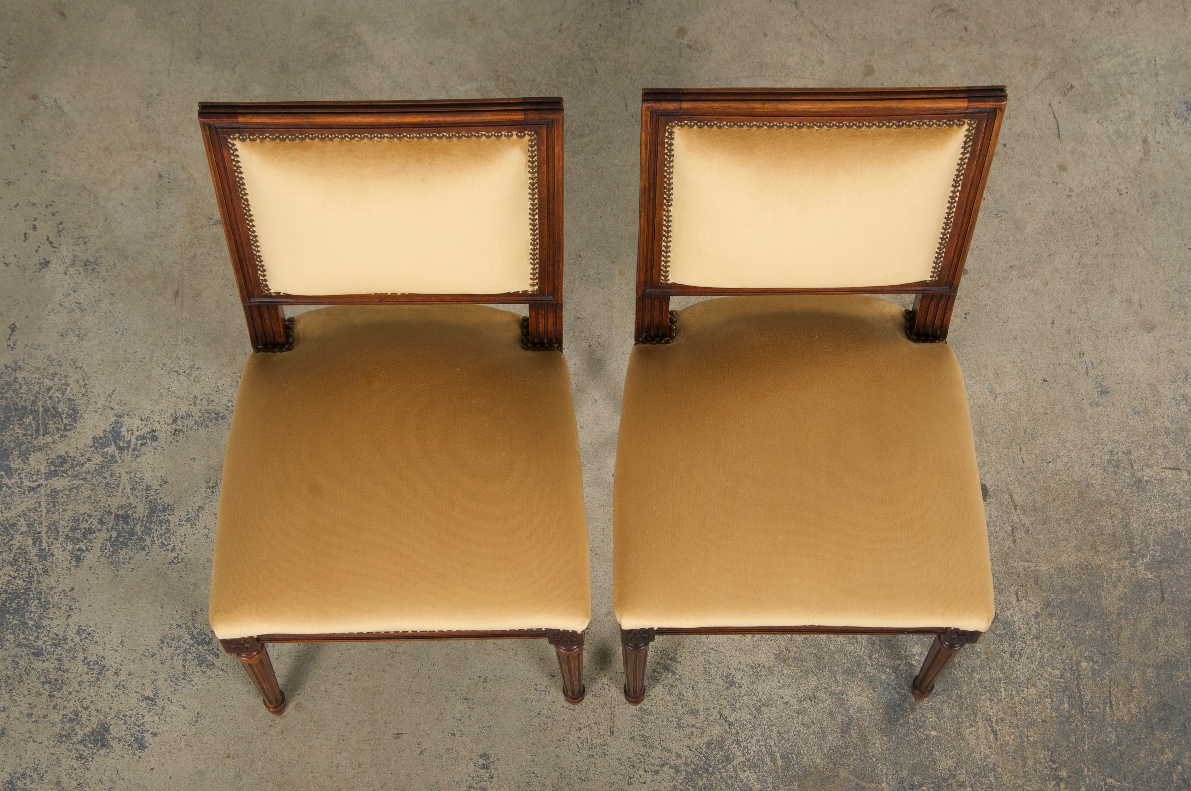 Antique French Louis XVI Style Maple Square Back Side Chairs in Golden Yellow Velvet - A Pair
