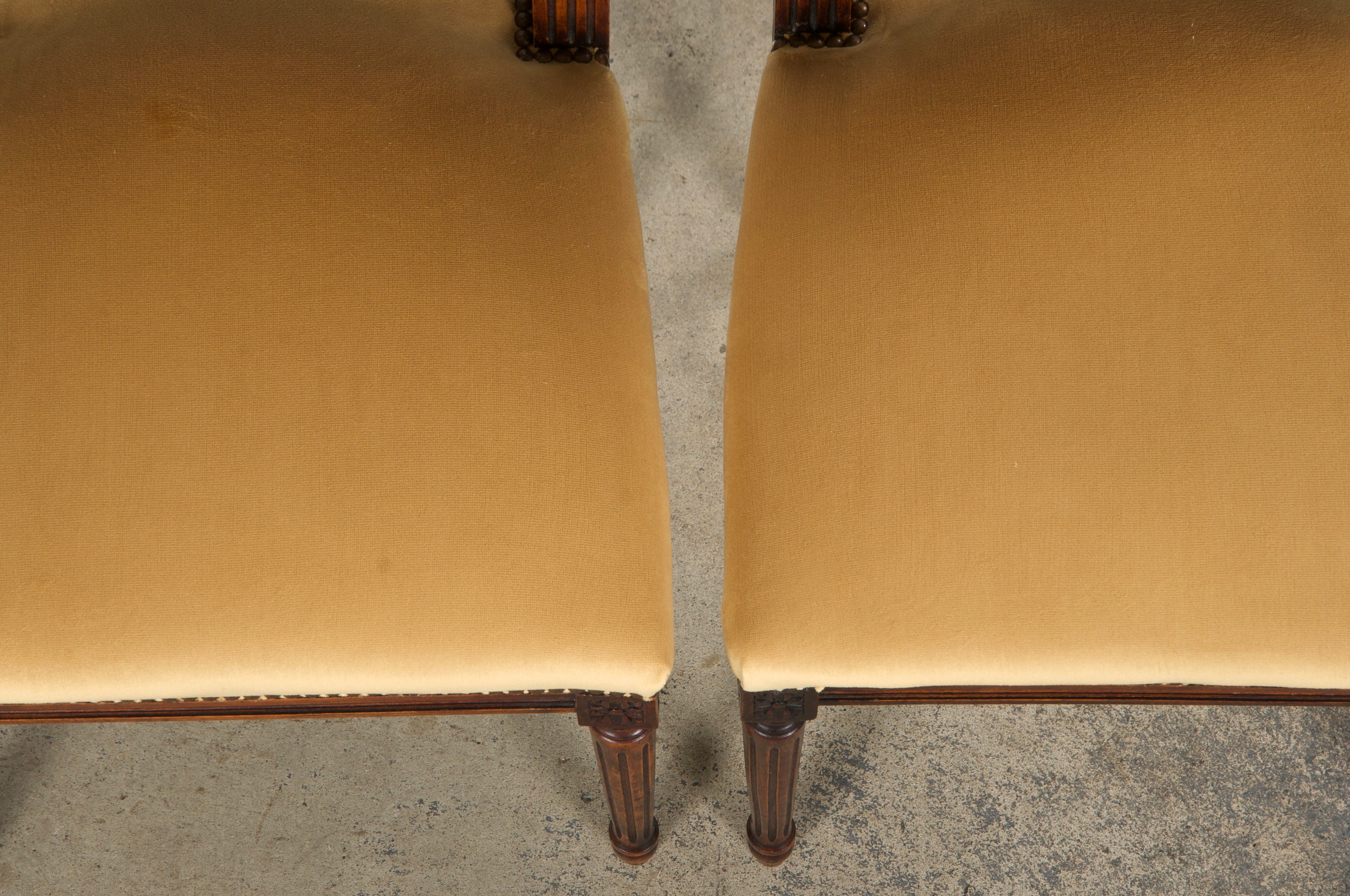 Antique French Louis XVI Style Maple Square Back Side Chairs in Golden Yellow Velvet - A Pair
