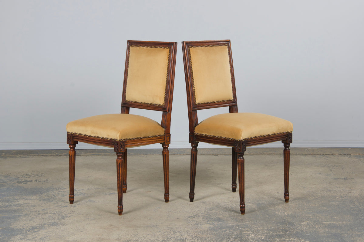 Antique French Louis XVI Style Maple Square Back Side Chairs in Golden Yellow Velvet - A Pair