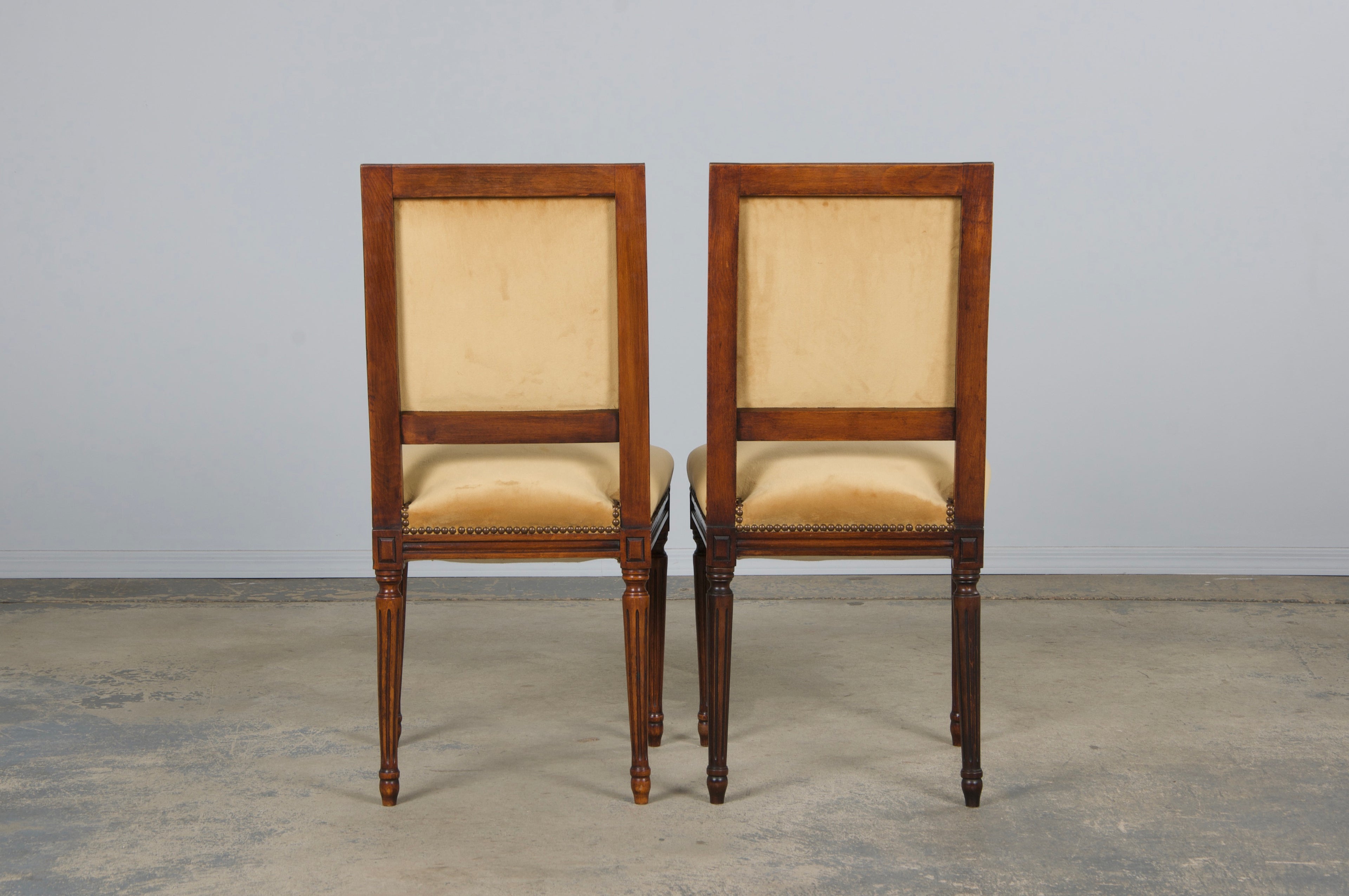 Antique French Louis XVI Style Maple Square Back Side Chairs in Golden Yellow Velvet - A Pair