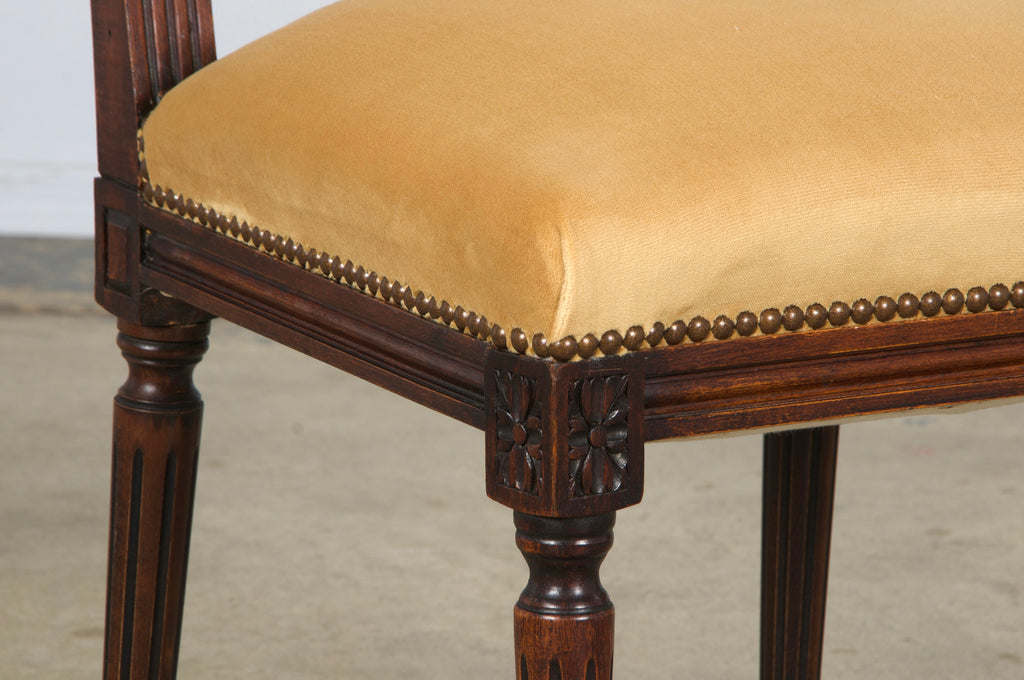 Antique French Louis XVI Style Maple Square Back Side Chairs in Golden Yellow Velvet - A Pair