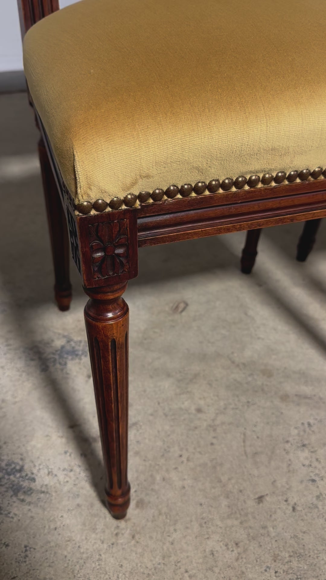Antique French Louis XVI Style Maple Square Back Side Chairs in Golden Yellow Velvet - A Pair