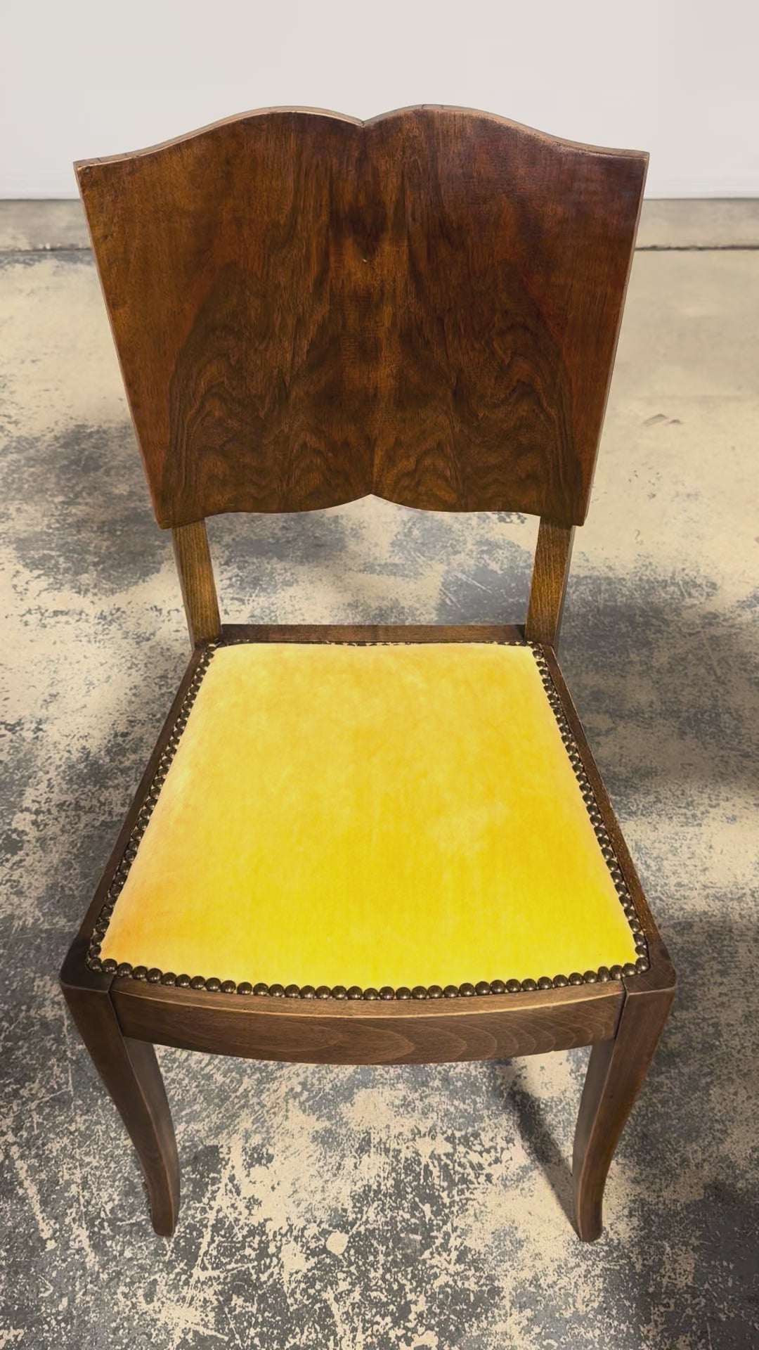 1930s French Art Deco Mustache Back Oak Dining Chairs in Golden Velvet - Set of 6